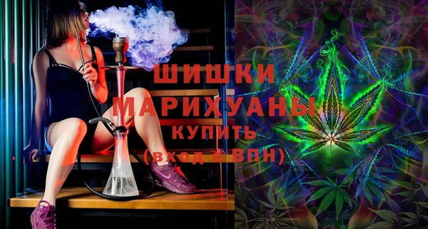 крисы Армянск