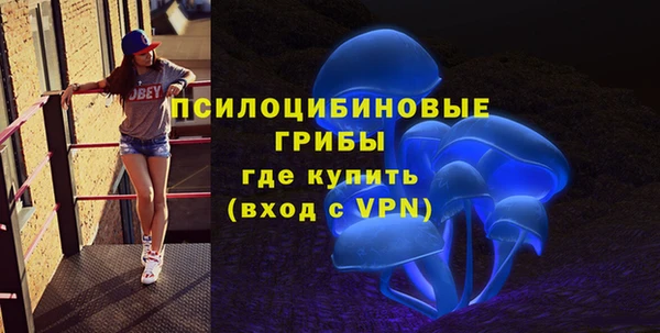крисы Армянск