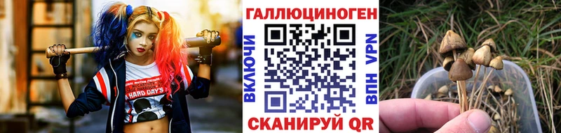 Галлюциногенные грибы мухоморы  Славск 